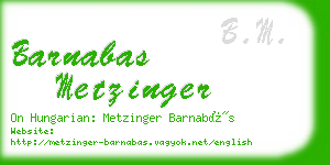 barnabas metzinger business card